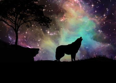 Wolf Universe