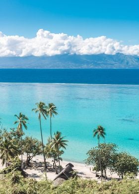 Temae Beach Moorea 