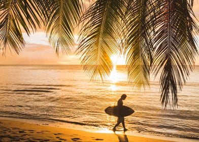 Skimboarder in the Sunset