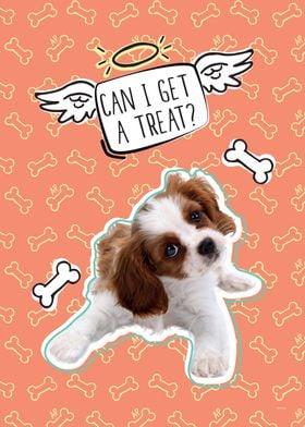 Can I get a treat' Poster by Animal Planet | Displate