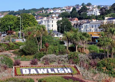 Dawlish Town