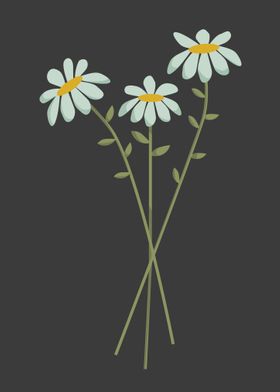 Daisy Flowers Bouquet