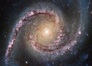 Grand Swirls NGC 1566