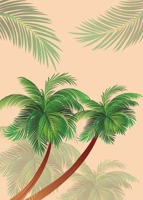 Coconut tree