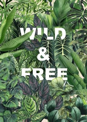 Wild and Free