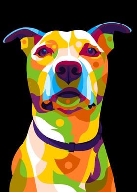 Pitbull Terrier