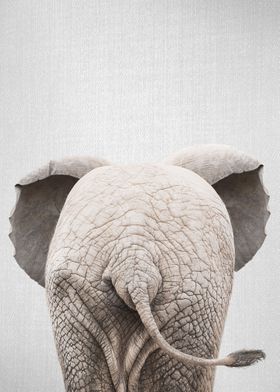 Baby Elephant Tail