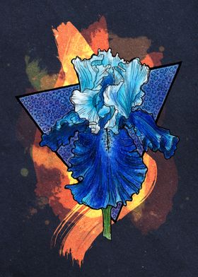 Blue Iris Dark
