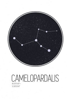 Camelopardalis