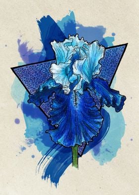 Blue Iris Light