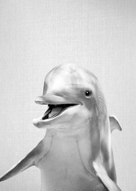 Dolphin BW