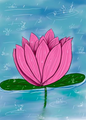 Lotus in a Pond
