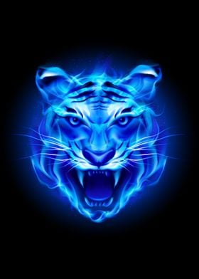 Blue Fire Tiger