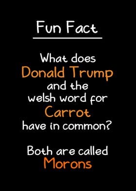 Trump and Welsh Carrot