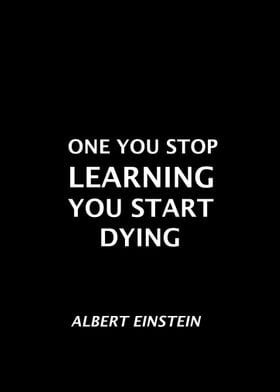 Albert Einstein Qoute