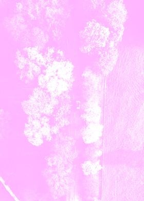 Pink Trees Poster