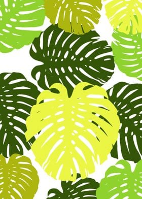 monstera green and yallow