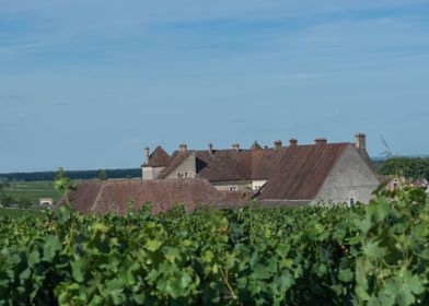 Clos Vougeot and vineyard