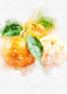 Mandarin watercolor