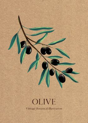 Olive