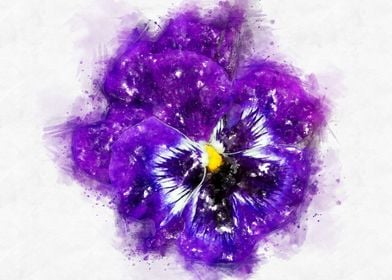 pansy  watercolor