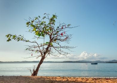 Madagascar Island sunset