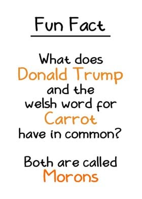 Trump and Welsh Carrot