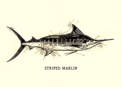 Striped Marlin Vintage