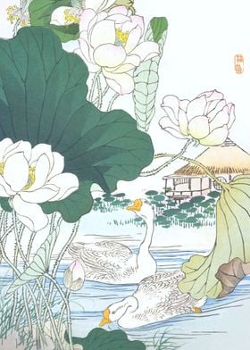 Geese And Lotus Flowers