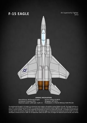The F15 Eagle