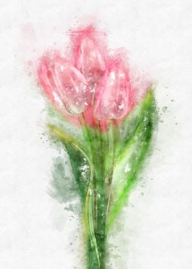 pink tulip watercolor