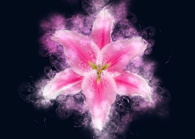 pink lily smoky