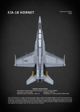 The FA18 Hornet