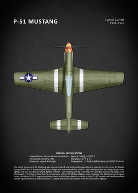 The P51 Mustang