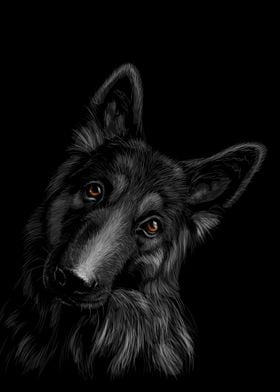 German Shepherd Sketching