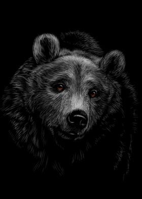 Bear Sketching