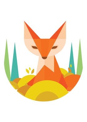 Geometric Fox