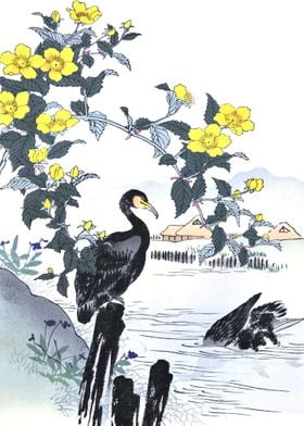 Cormorants Diving In Lake