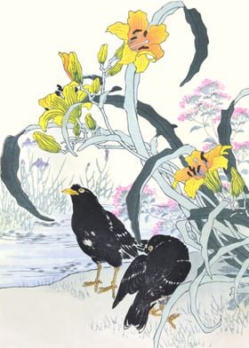 Myna Birds And Daylilies