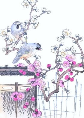 Birds On Cherry Tree