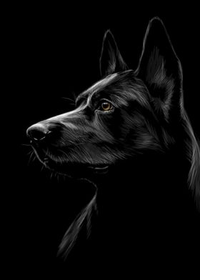 German Shepherd Sketching