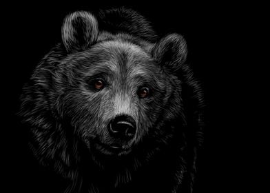 Bear Sketching