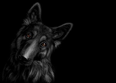 German Shepherd Sketching