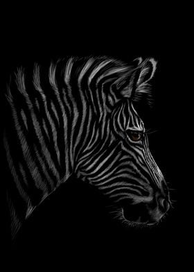 Zebra Sketching