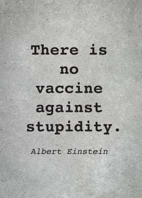 Albert Einstein Quote L031