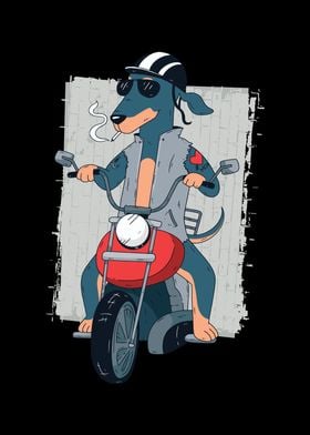 Dachshund as Biker