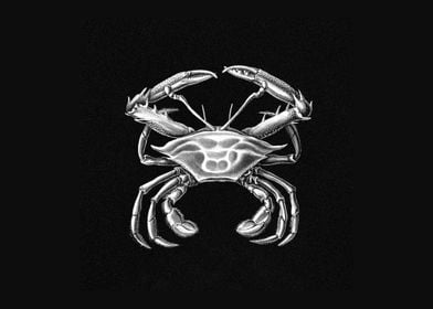 Vintage crab marine life