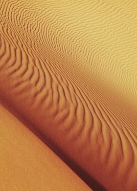 Desert Shapes