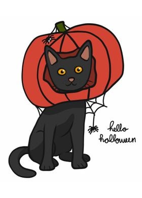 Black cat wear pumpkin