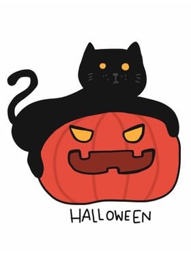 Black cat and pumpkin